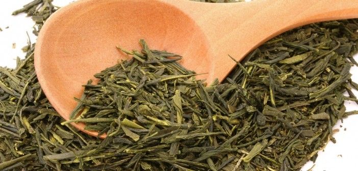 Hojas de Té Verde