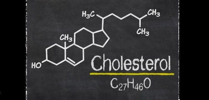 Fórmula Química del Colesterol
