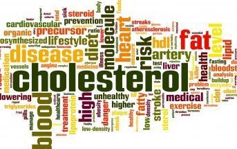 Como reducir el colesterol. Conceptos Asociados al Colesterol