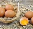 Es verdad que comer más de tres huevos a la semana es malo?
